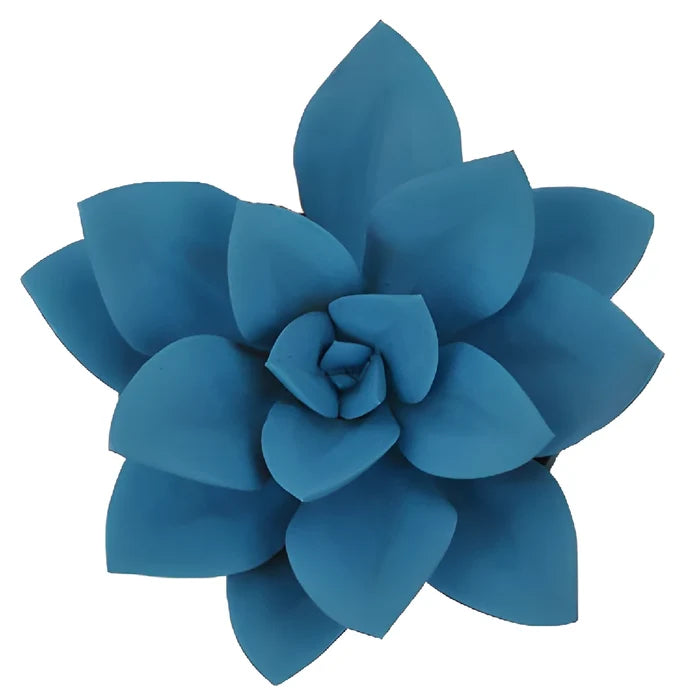 Blue Tinted Succulents