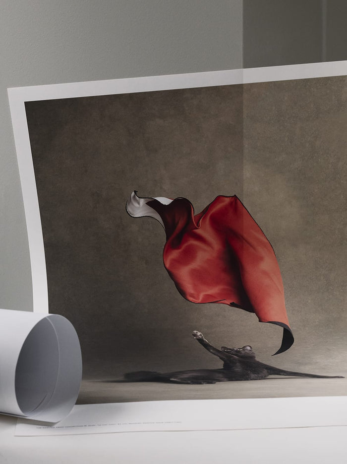 Le Chat Chic by Kinfolk