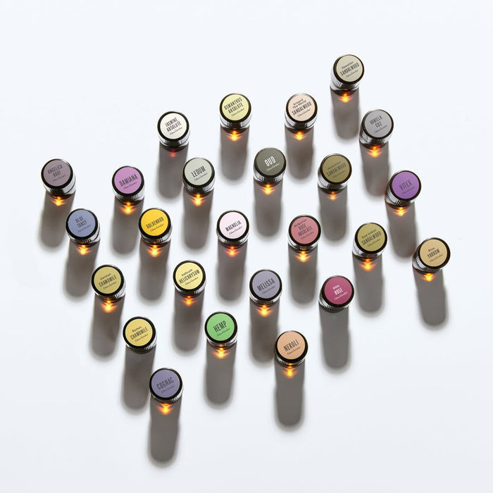 Lifestyle image of Sample of Rose- Otto Essential Oil