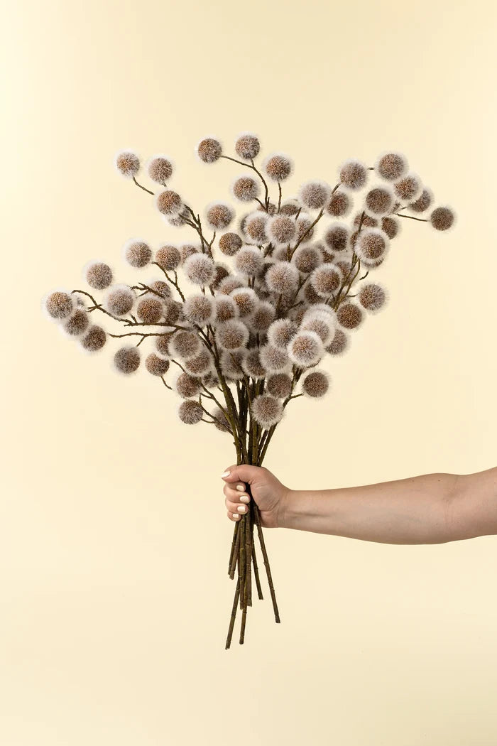 Sycamore Pod Spray - Magnolia Lane co. Home + Garden + Gift