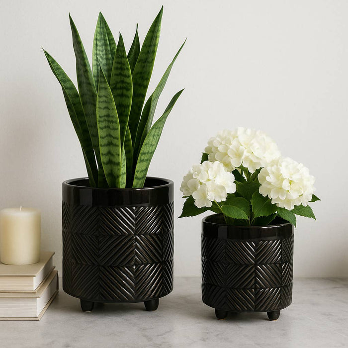 Black Ceramic Round Textured Planter
