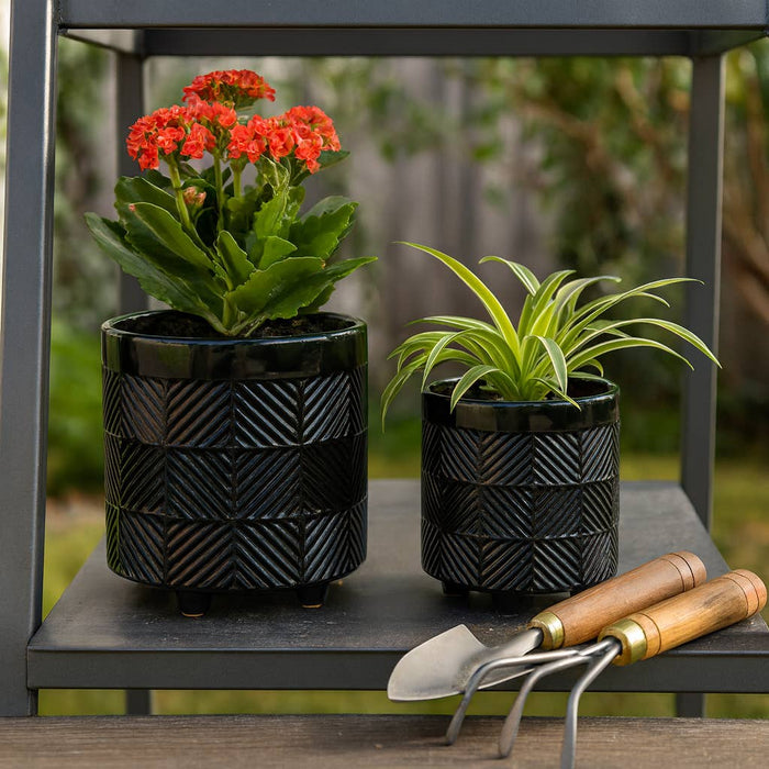 Black Ceramic Round Textured Planter