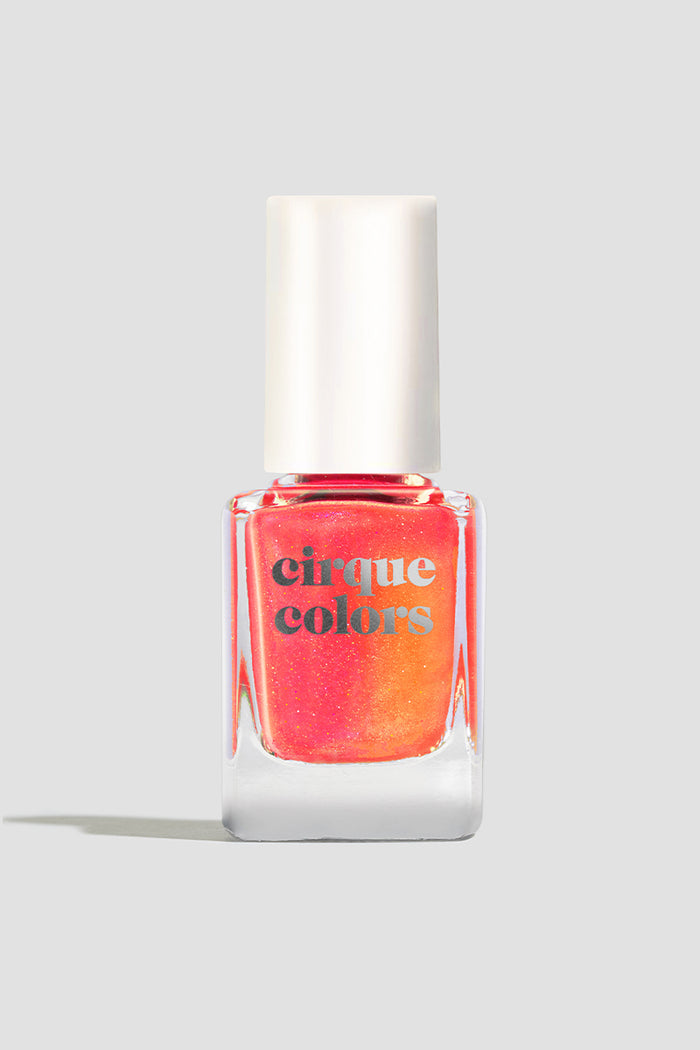 Day Tripper
