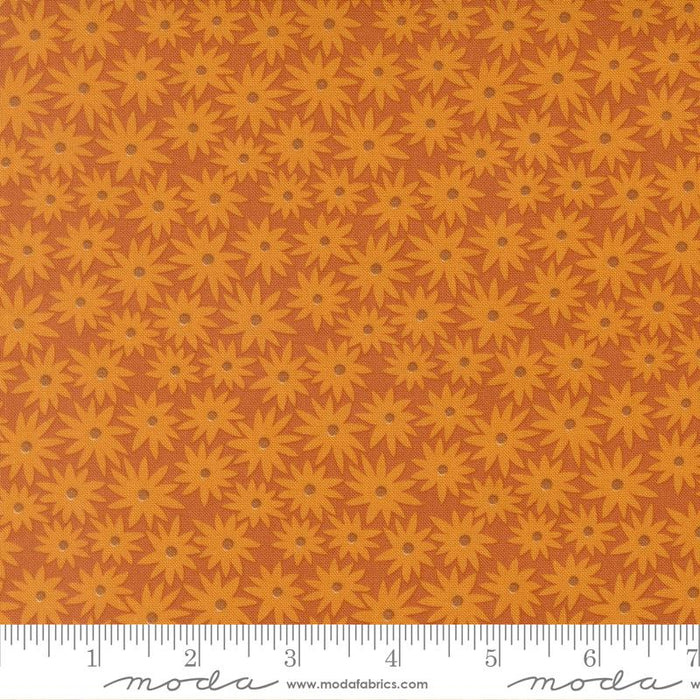 F3007 - Scenery Sedum - Rusty