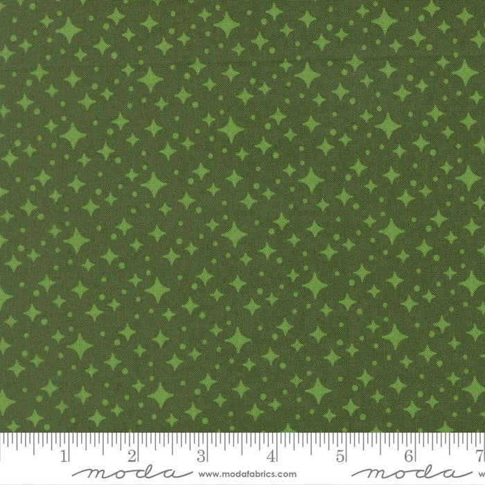 F3020 - Scenery Starlight - Cypress