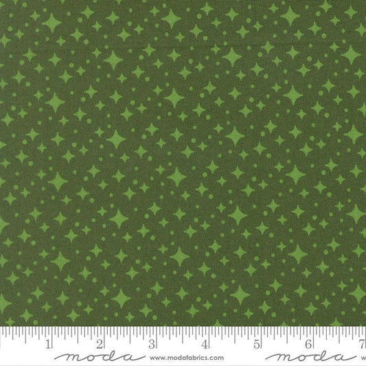 F3020 - Scenery Starlight - Cypress