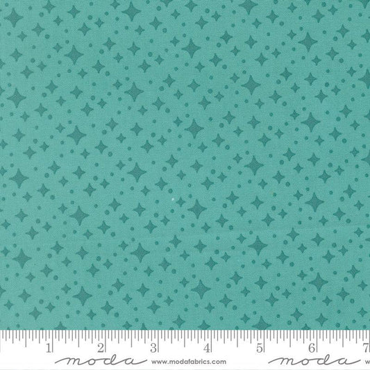 F3021 - Scenery Starlight - Poolside