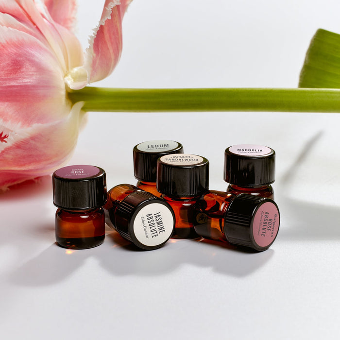 Lifestyle image of Sample of Rose- Otto Essential Oil