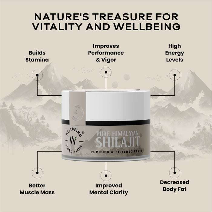 Shilajit Resin 10gm